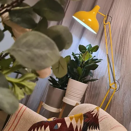 Le Mimizzz Appartement Entraygues-sur-Truyère