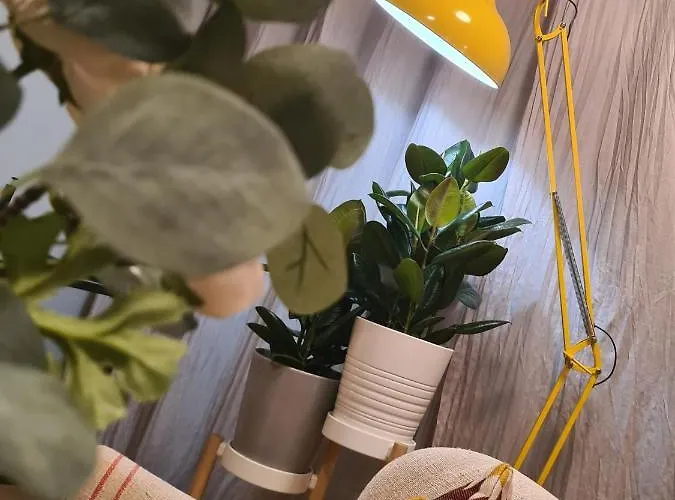 Le Mimizzz Apartmán Entraygues-sur-Truyère